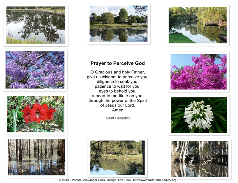 Prayer to Perceive God